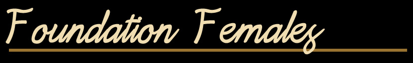 Foundation Females