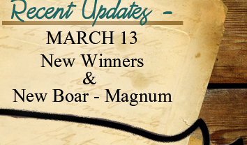 Recent Updates